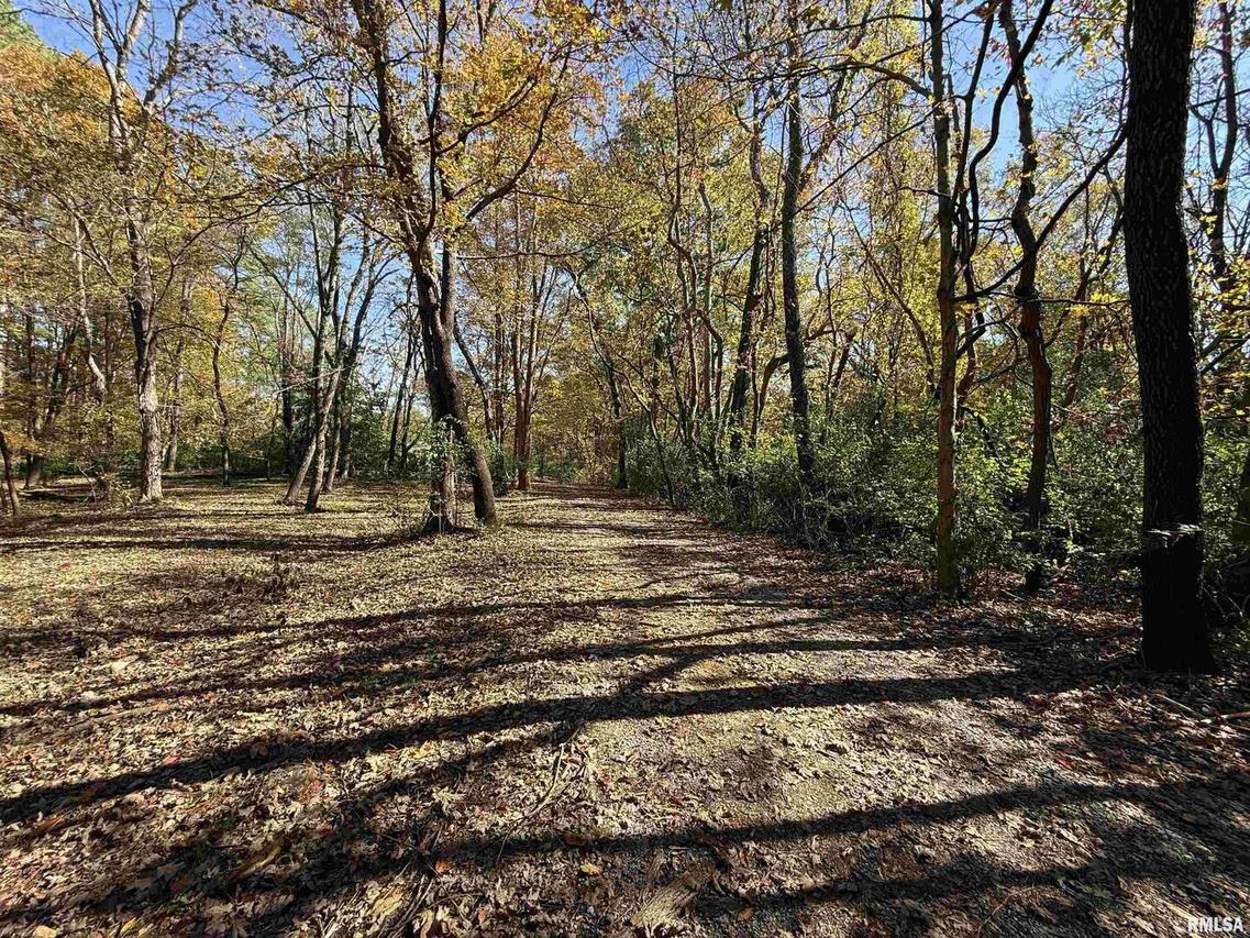 449 Pine Ln., Murphysboro, IL 62966