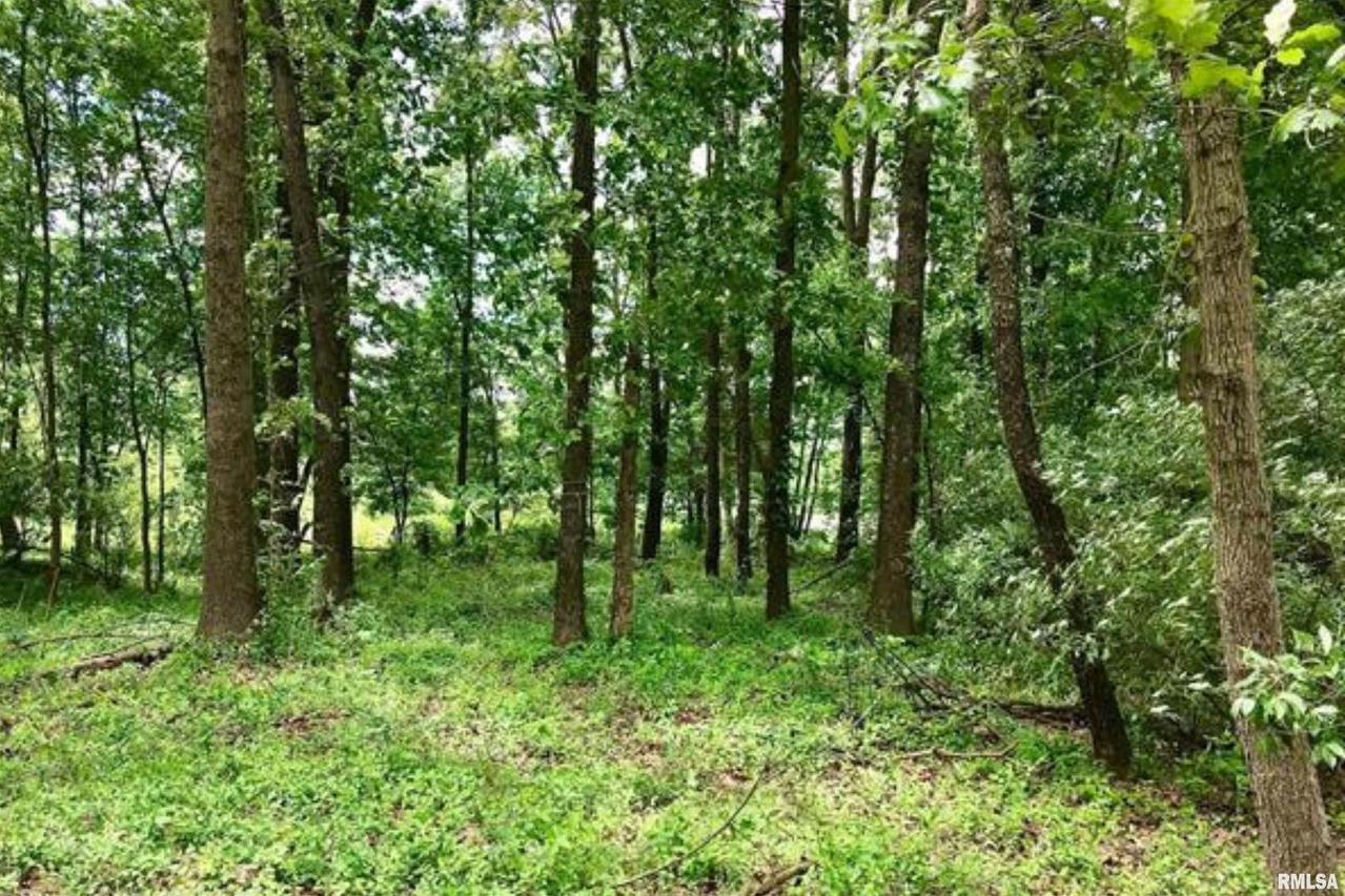 TBD Eastland Rd., Marion, IL 62959