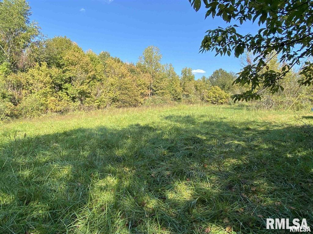 700 Blueberry Hill Rd., Cobden, IL