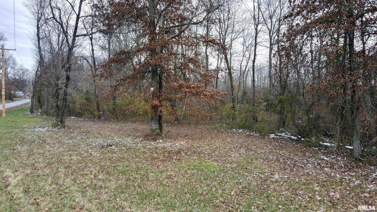 10200 Country Club Rd., West Frankfort, IL 62896