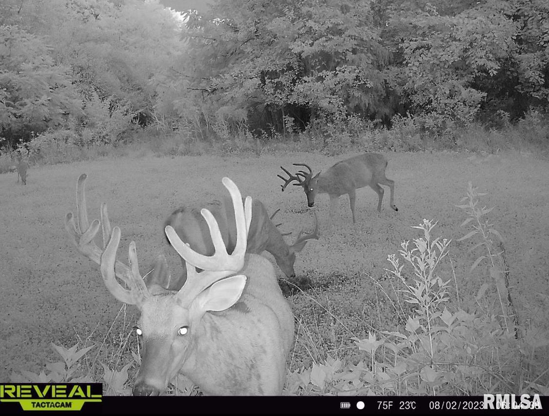 000 County Highway 7 County Rd., Cisne, IL 62823