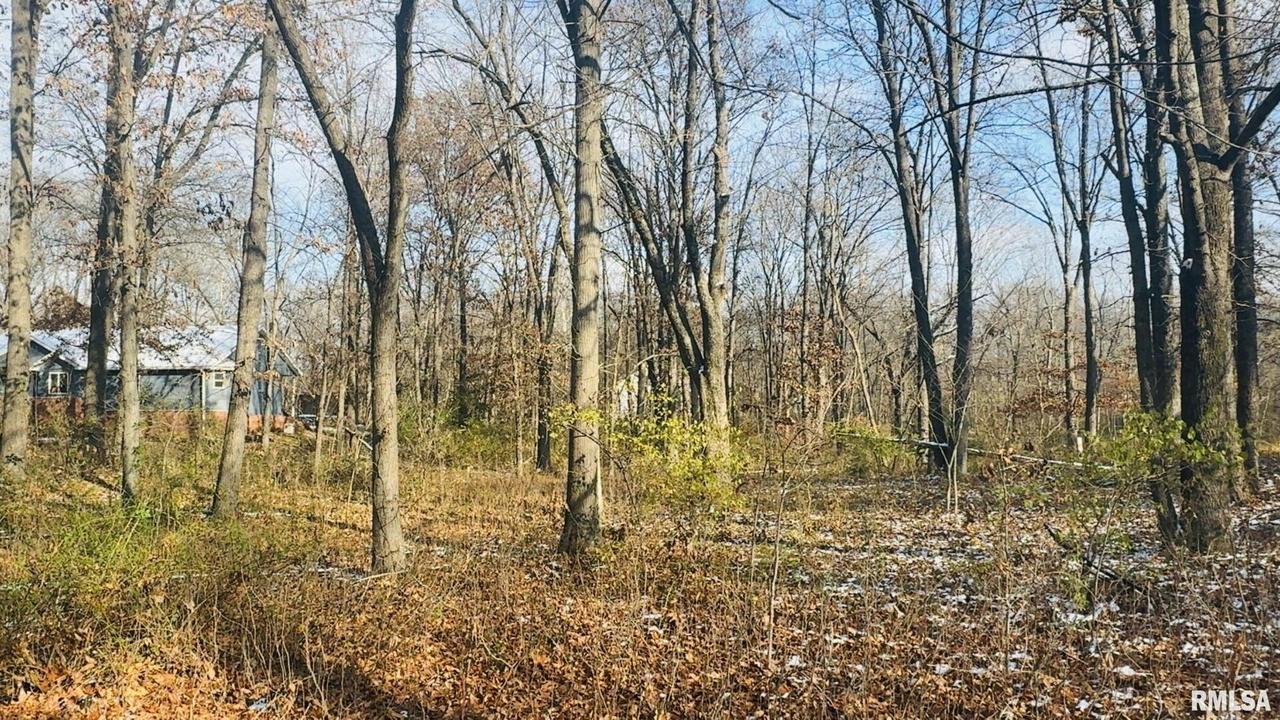 000 White Birch Ct., Benton, IL 62812