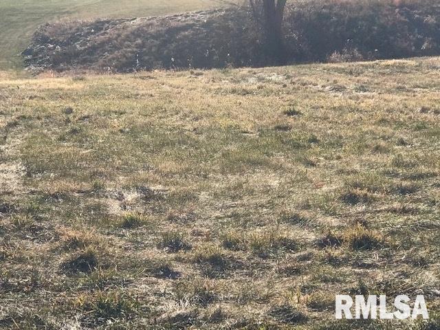 2101 Timber Ridge Dr., Port Byron, IL 61275