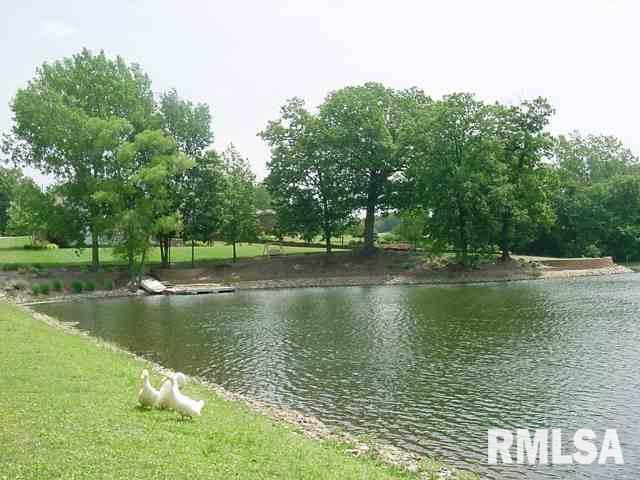 65 Rustic Lake Estates, Colona, IL 61241