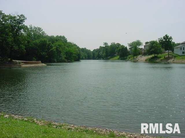 53 Rustic Lake Estates, Colona, IL 61241