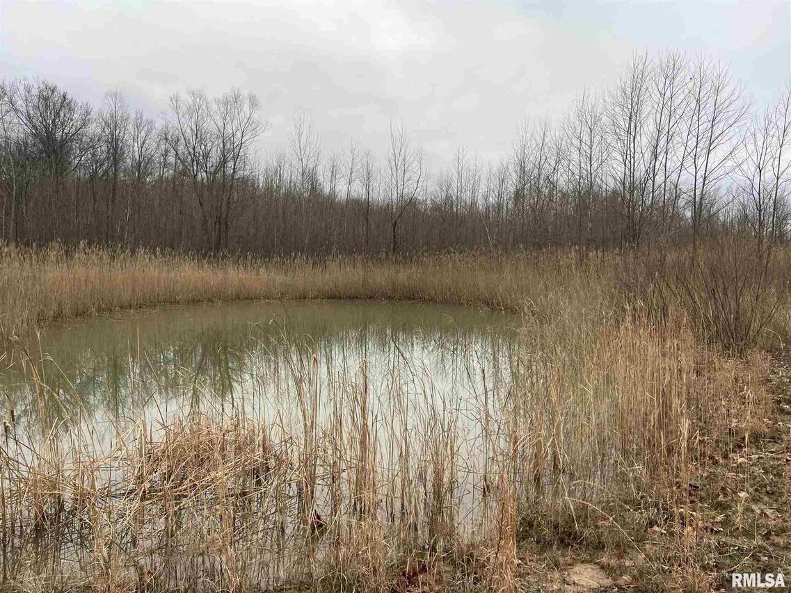 17980 Four Mile Ln., West Frankfort, IL 62986