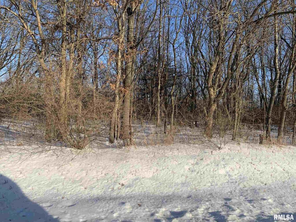 Lot 1 92nd Ave., Milan, IL 61264