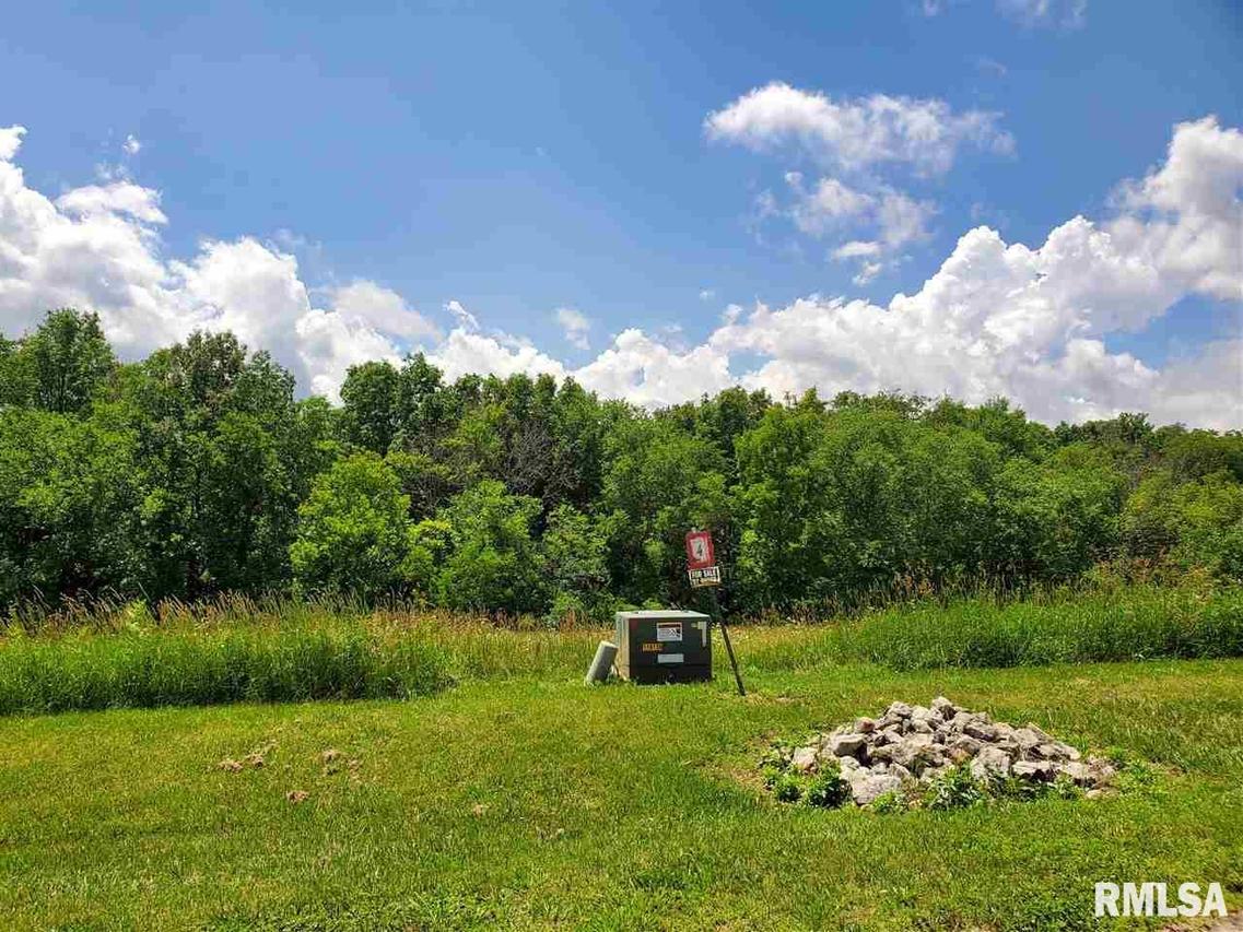 TBD Lot #4 Powell Ct., Savanna, IL 61074