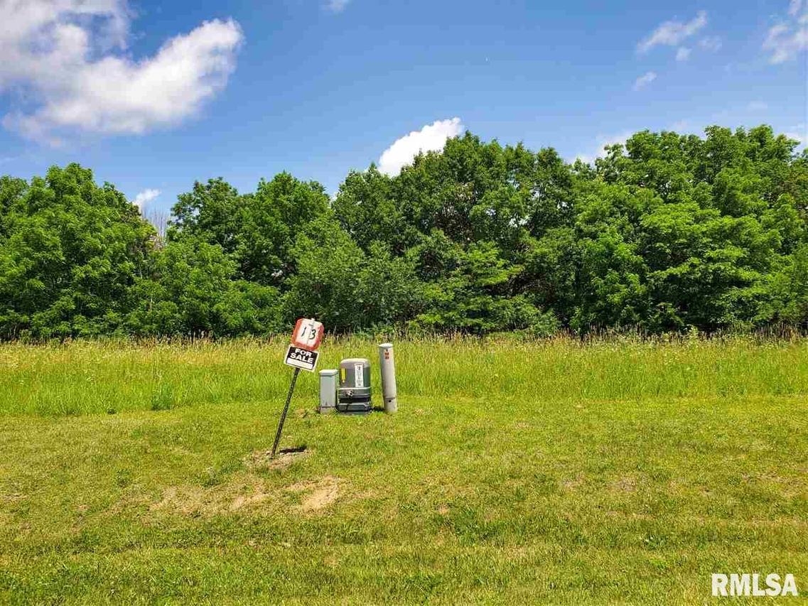 TBD Lot #13 Powell Ct., Savanna, IL 61074