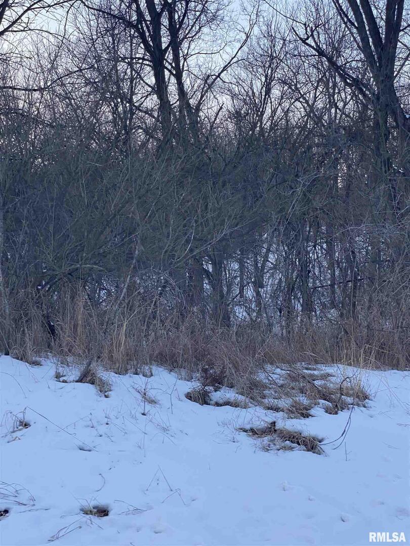 1598 300th St., Sherrard, IL 61281