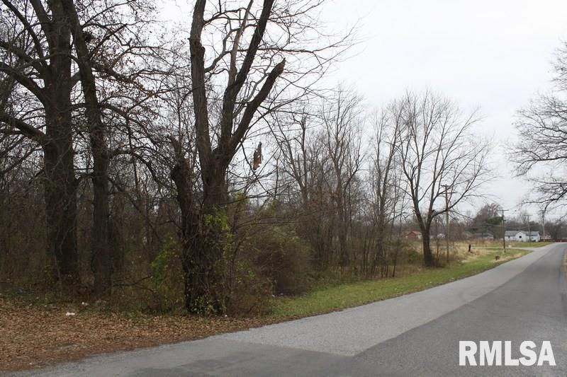 0000 Andrew Springs Rd., Colp, IL 62921