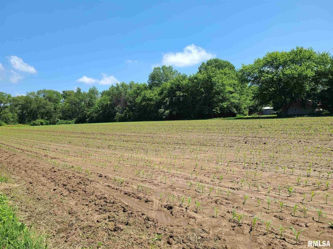 Lot 2, 2nd ADD Wolf Rd., Colona, IL 61241