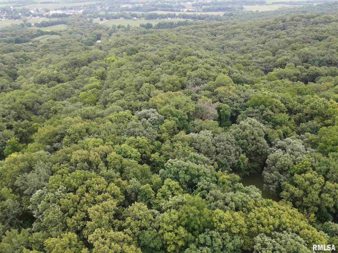 4535 W Bland Rd., Hanover, IL 61042