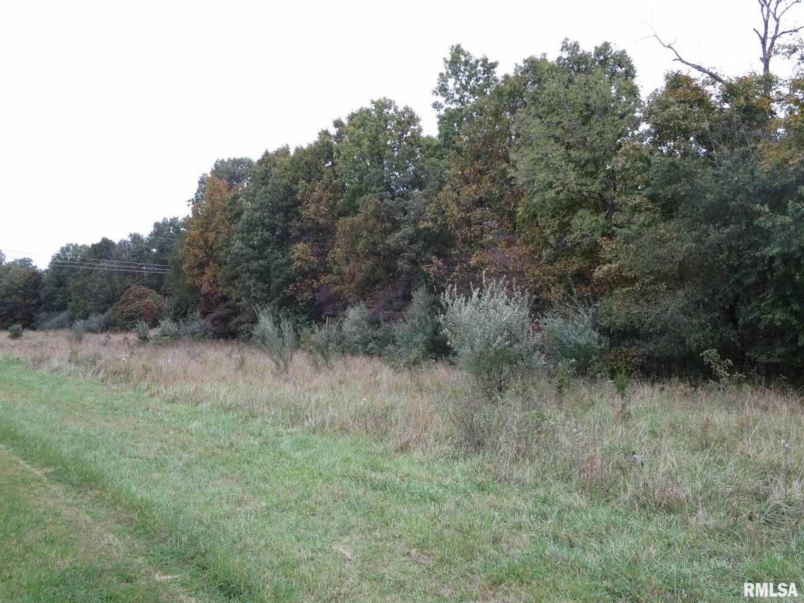 2627 Sandstone Springs Rd., Pittsburg, IL 62974