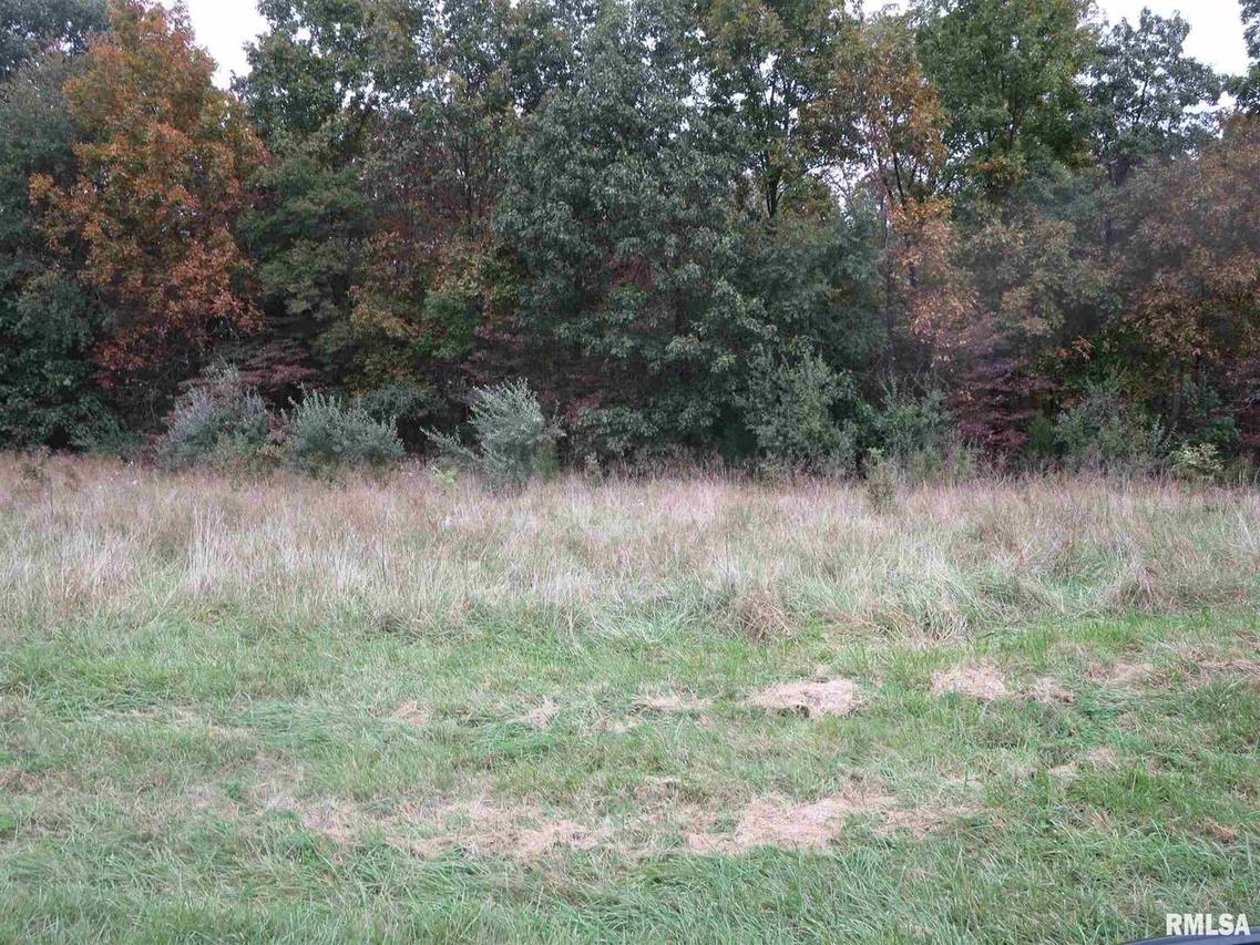 28 Castle Oaks Rd., Pittsburg, IL 62974