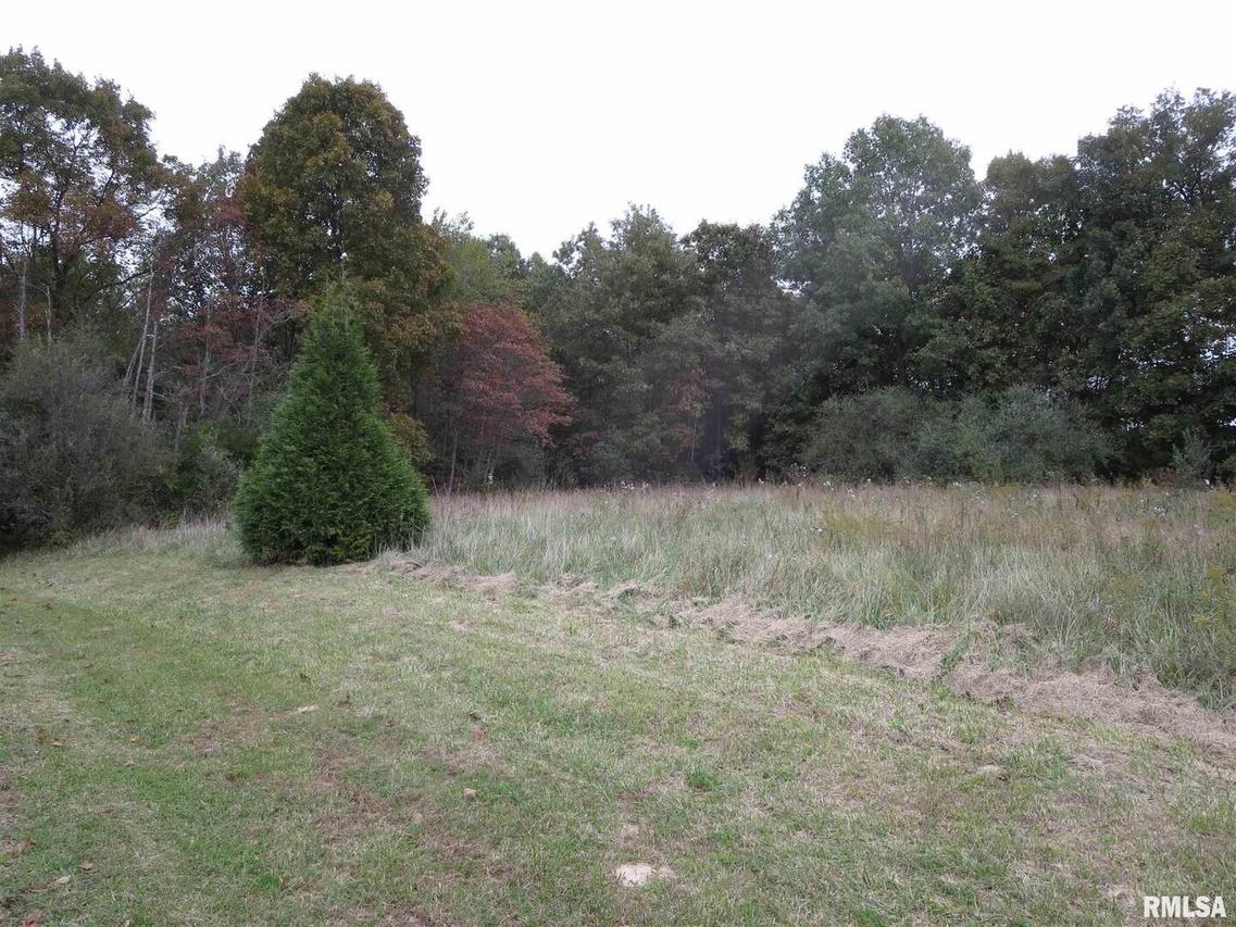 29 Castle Oaks Rd., Pittsburg, IL 62974