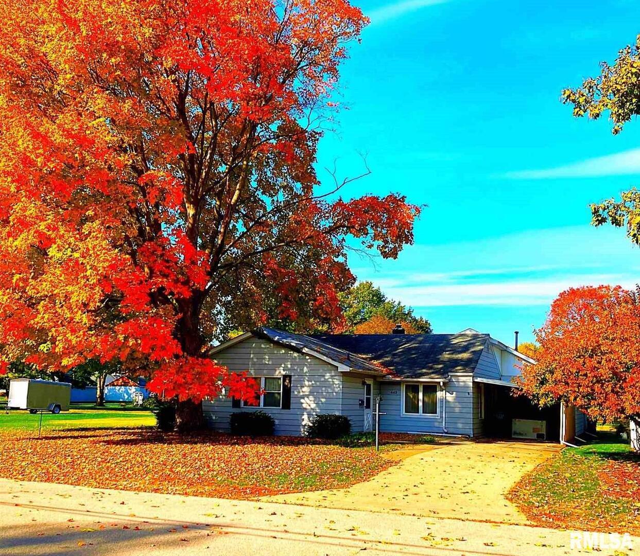 443 E South St., Geneseo, IL 61254