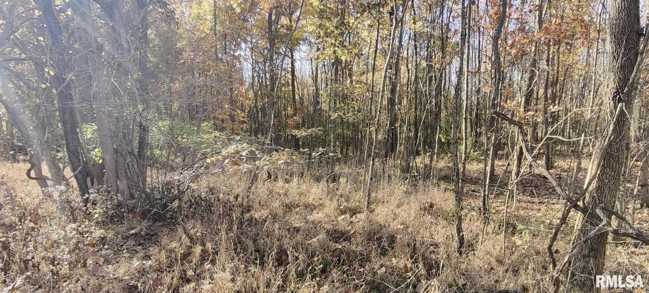 000 W Clayton Rd., Carbondale, IL 62901