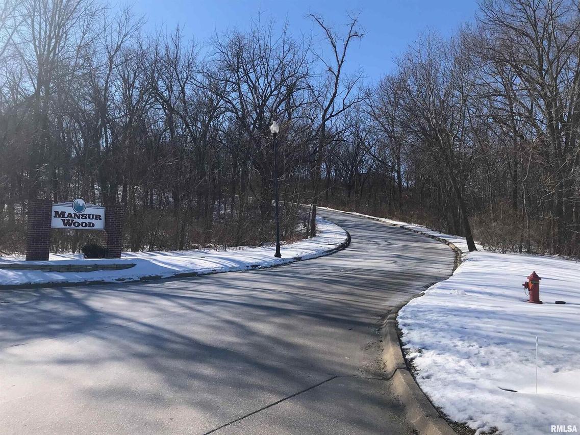 801 Rebecca Pl., Carbon Cliff, IL 61239