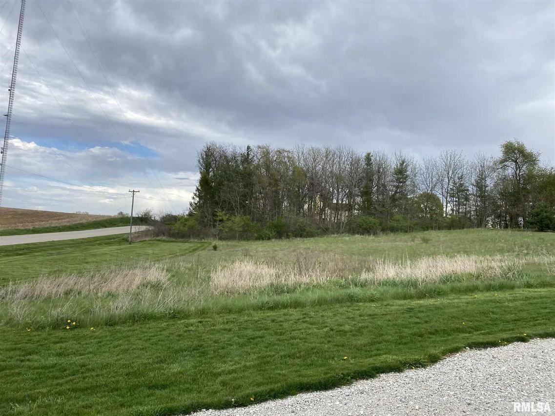 Out Lot C N 1100th Ave., Lynn Center, IL 61262