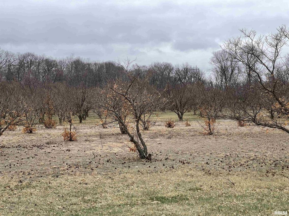 27 Hunters Ridge Rd., Fulton, IL 61252