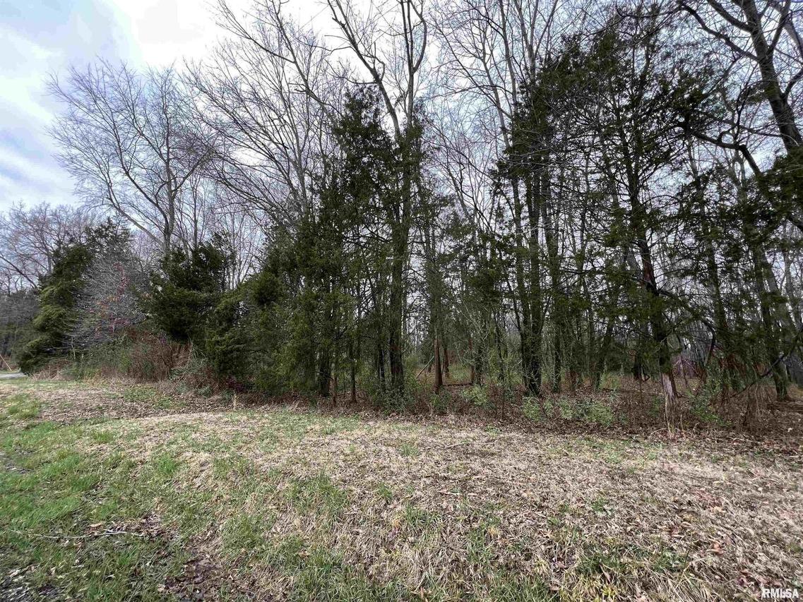 0000 Mcreynolds Ln., West Frankfort, IL 62840