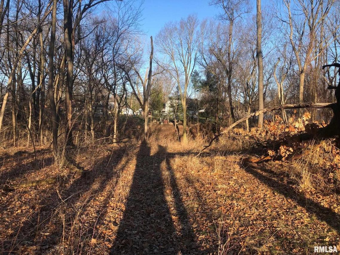 Lot 1 21st Ave., Moline, IL 61265