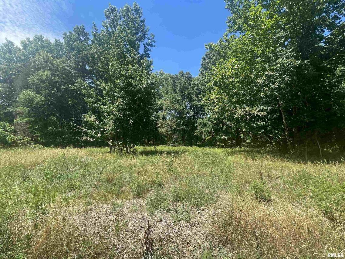 Lots 37-41 Noah Ln., Carterville, IL 62918