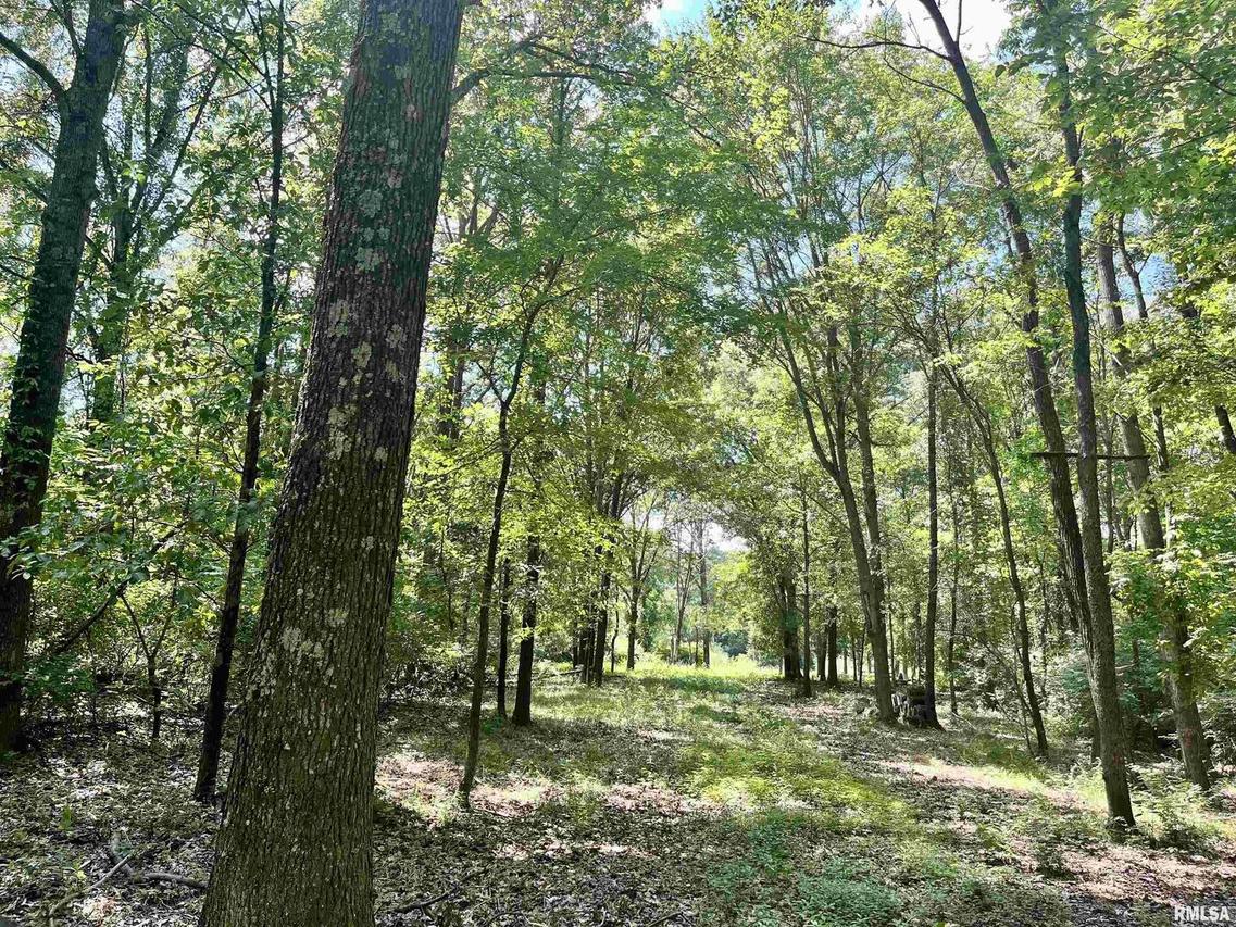 2829 State Highway 148, Zeigler, IL 62999