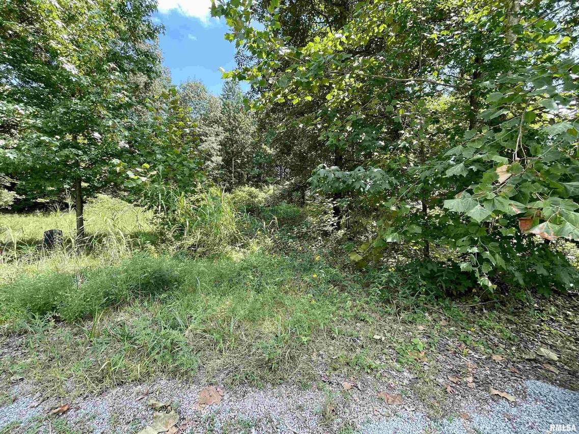 2502 Joel Dr., Herrin, IL 62948