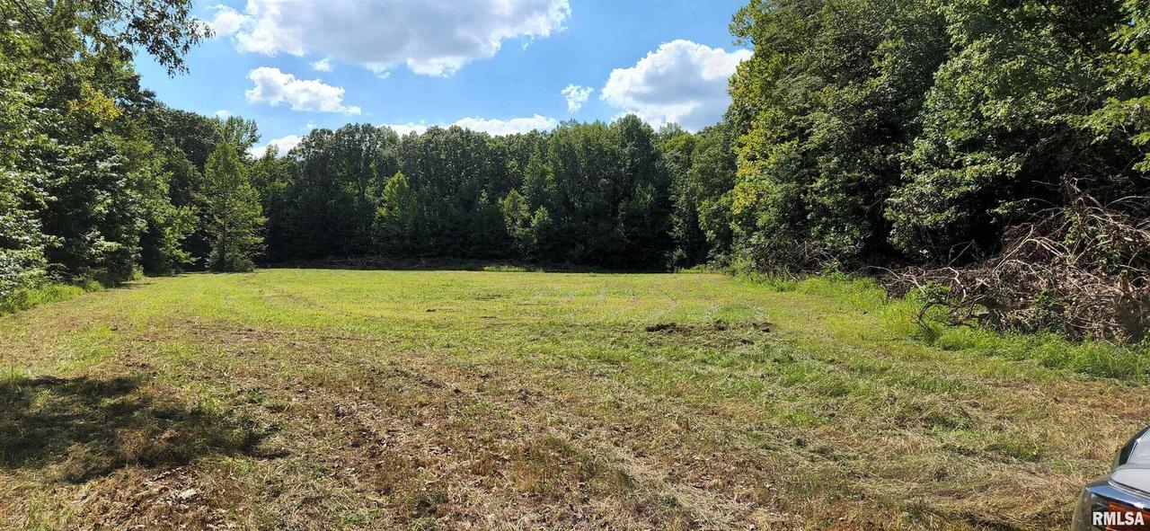 TBD Hound Dog Ridge Rd., Vienna, IL 62995