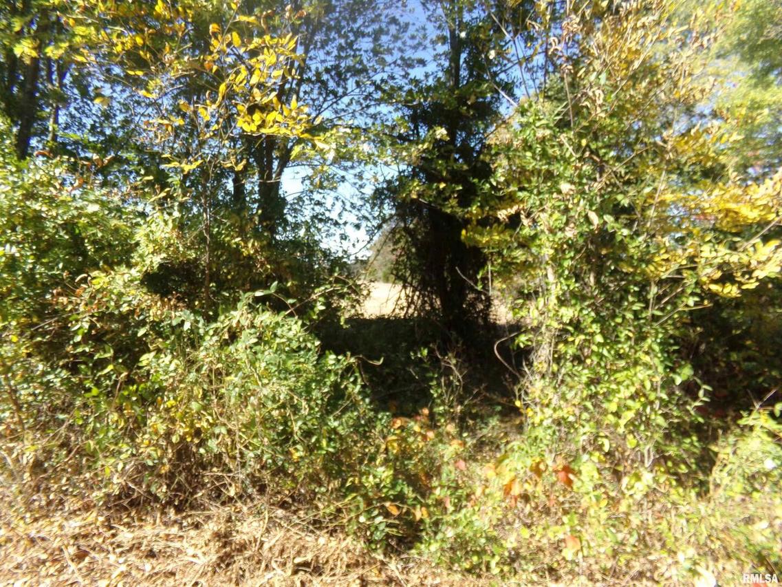 0000 Satch Rd., Benton, IL 62812