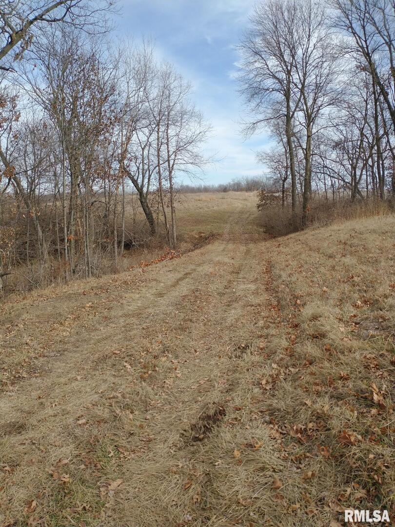 20.38 acres M/L Clayton Township, Golden, IL 62339