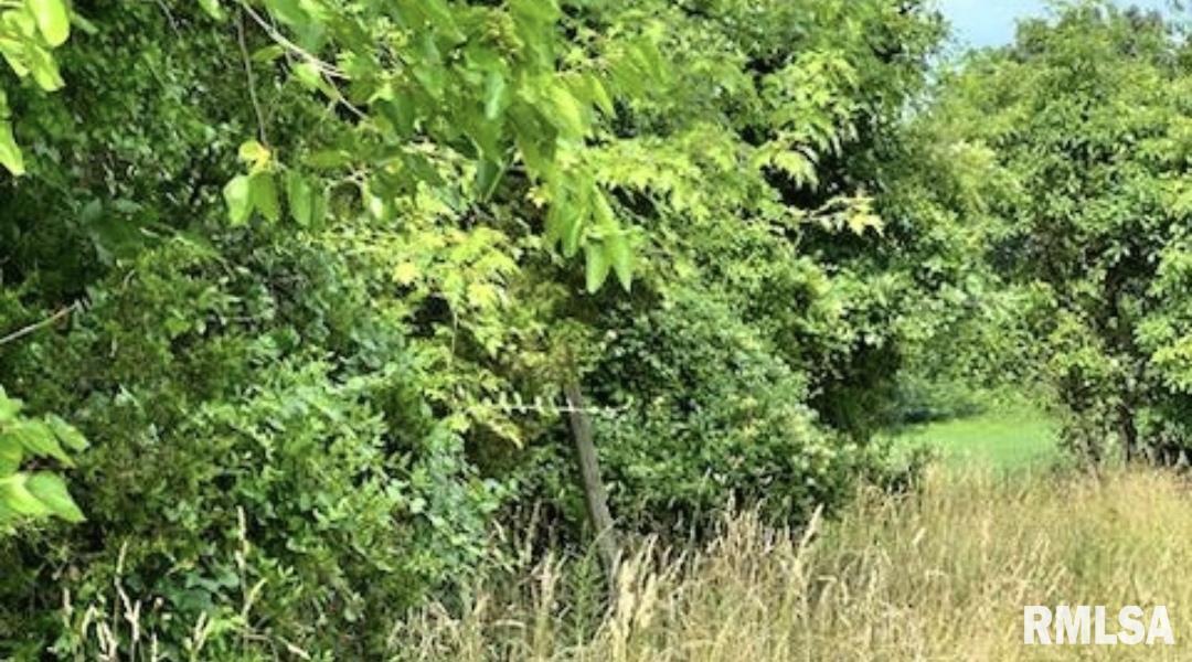 000 Tunnel Hill Rd., Ozark, IL 62972