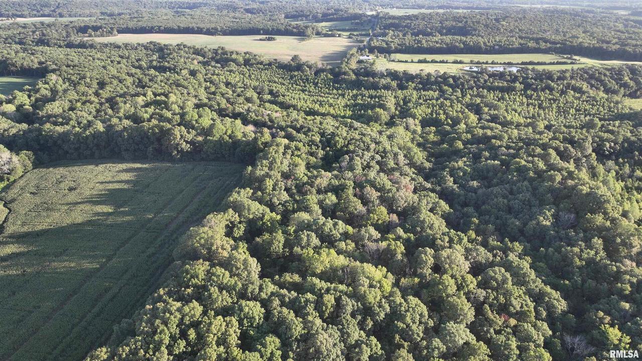 0000 Flatwoods Rd., Simpson, IL 62985