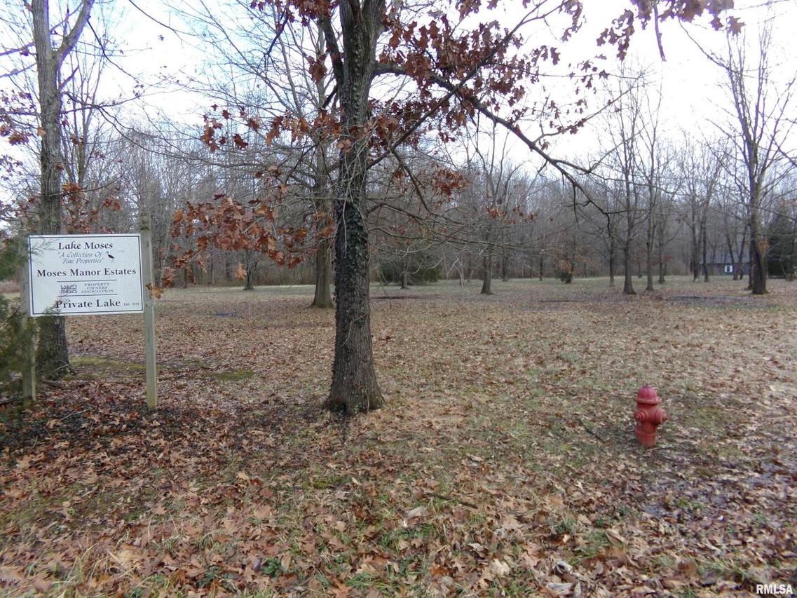 0000 Moses Manor Manor, Benton, IL 62812