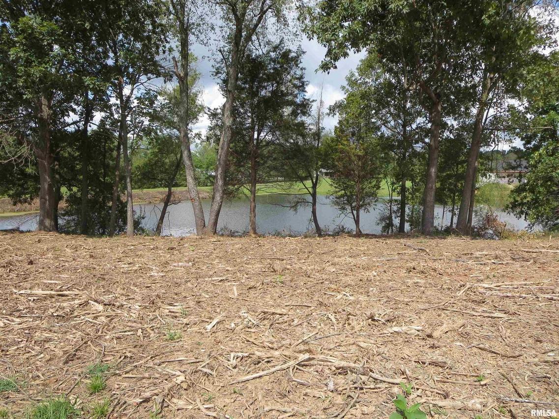 1516 Squires Point, Pittsburg, IL 62974