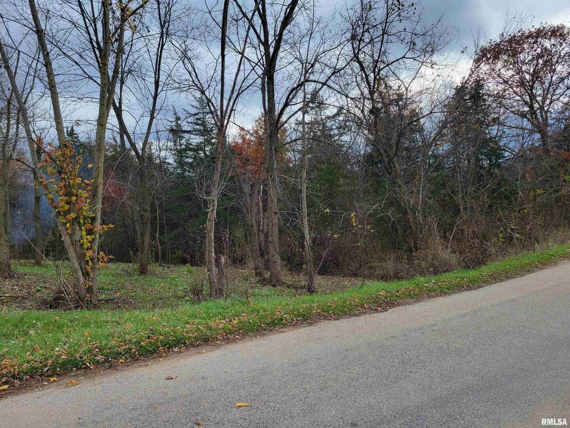 9685CrazyHollow S S Rd., Hanover, IL 61041