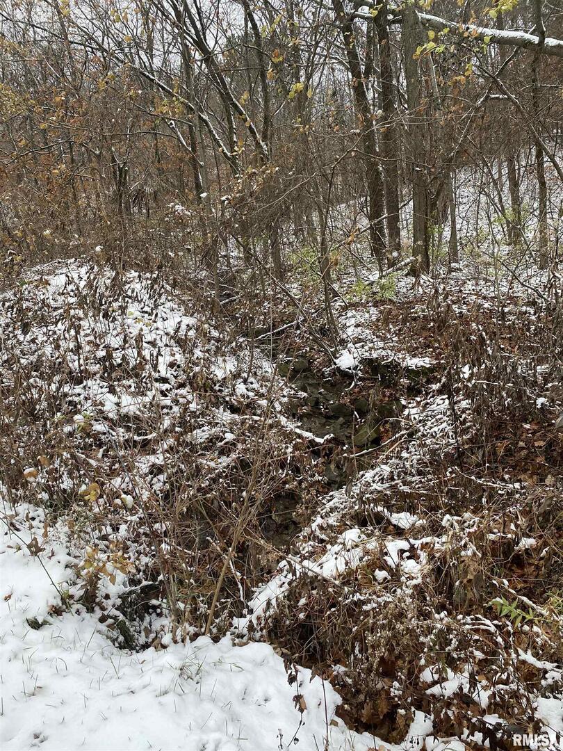 Lot 4 79th Ave., Andalusia, IL 61232