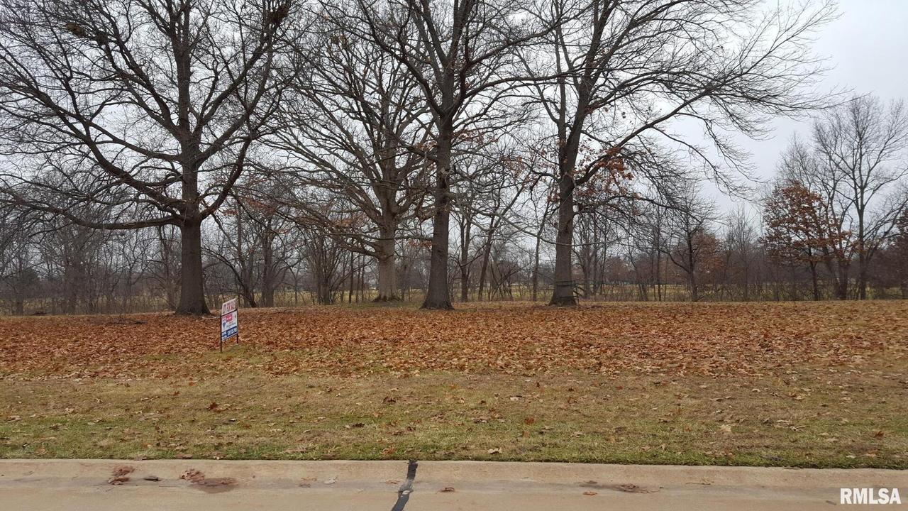 13 Sawgrass Dr., Coal Valley, IL 61240