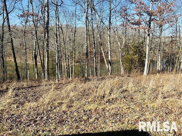 Lot 75 Saluki Way, Goreville, IL 62939