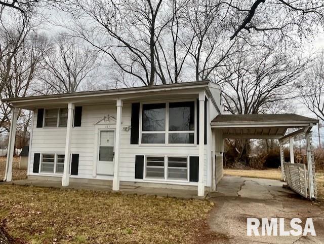 207 N Ash St., Desoto, IL 62924