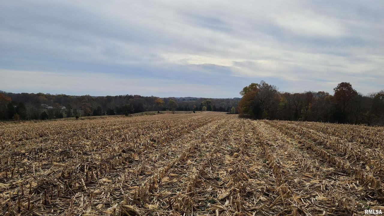 State Highway 145 N Hwy., Simpson, IL 62985