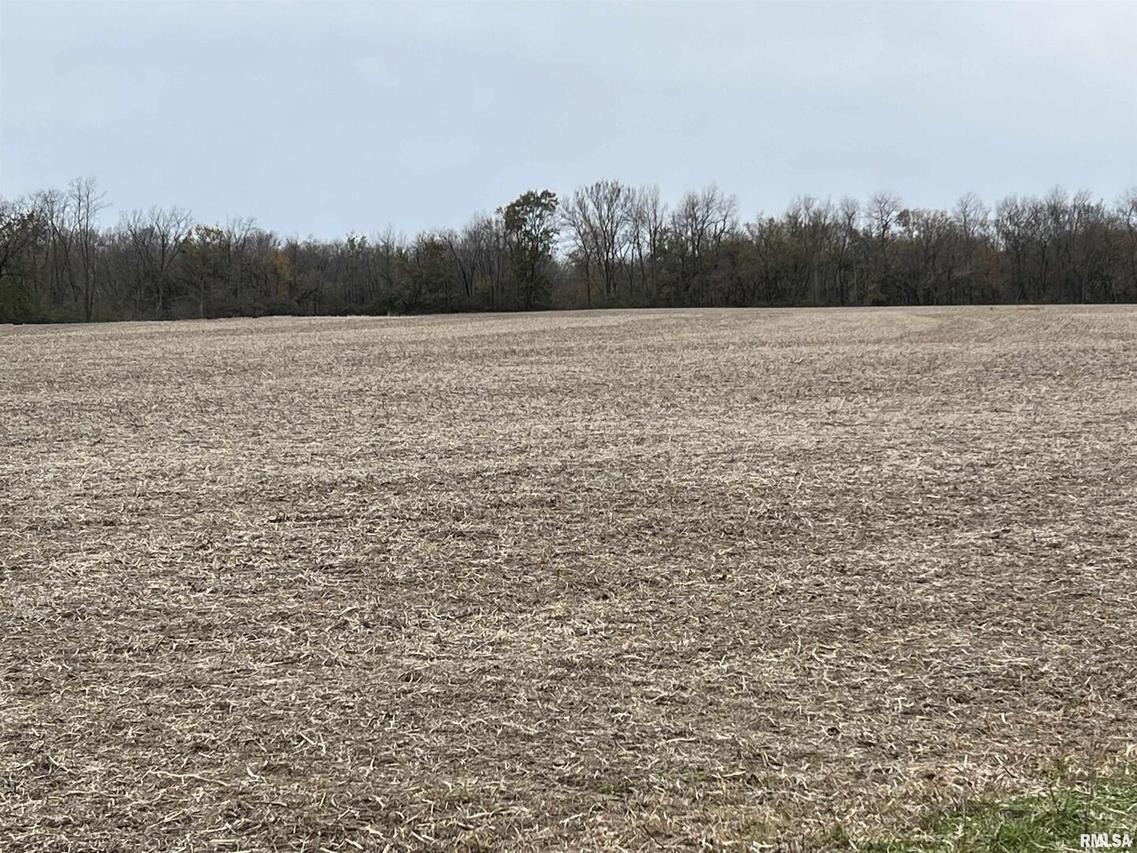 238th St., Buffalo Prairie, IL 61237