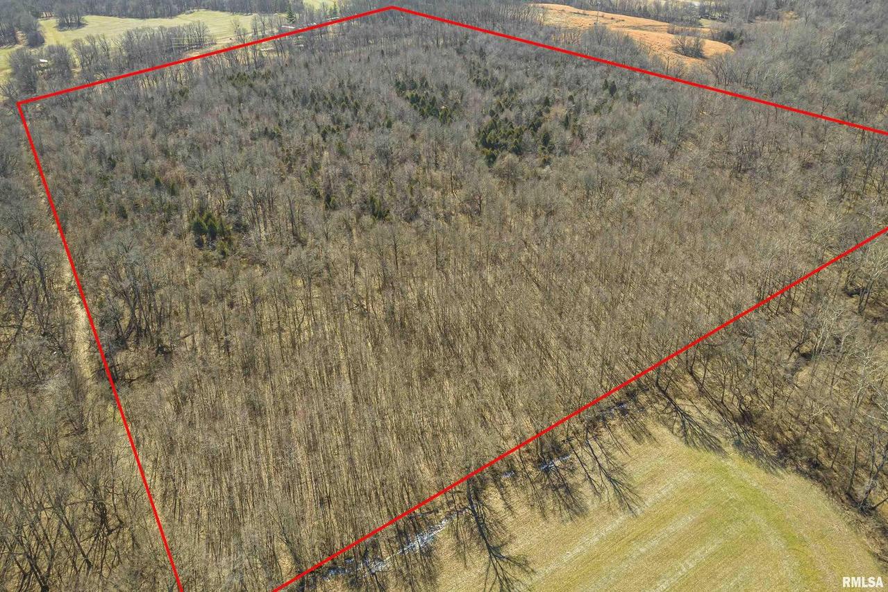 0000 Fancy Farm Rd., Thompsonville, IL 62980