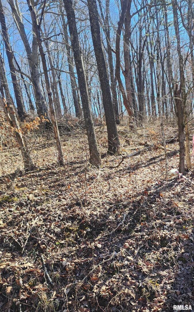 TBD Pauper Farm Rd., Elizabethtown, IL 62931