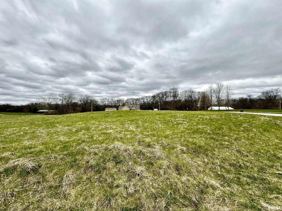 Lot 13 58th St., New Boston, IL 61272