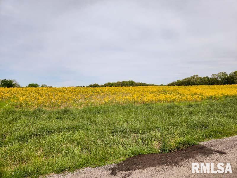 Route 166 Rd., Creal Springs, IL 62922