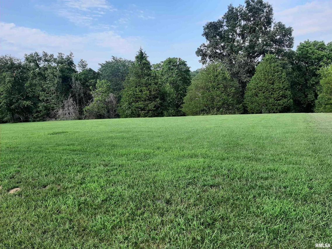 0000 Joyce Ln., Vienna, IL 62995