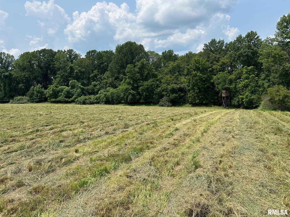 000 Williams Ridge Ln., Cobden, IL 62920